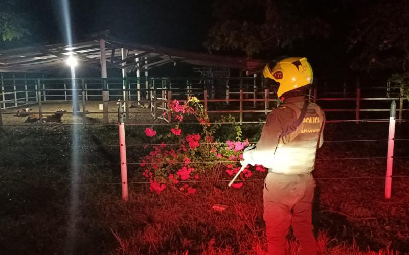 Fotografía Policía revisando una finca en el Atlántico