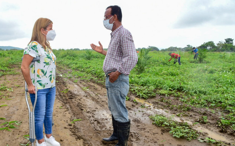 Fotografía gobernadora en cultivo beneficiado con las obras del distrito de riego