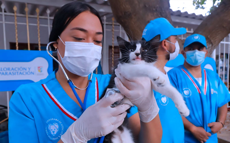 Fotografía de funcionaria de salud departamental examinando mascota