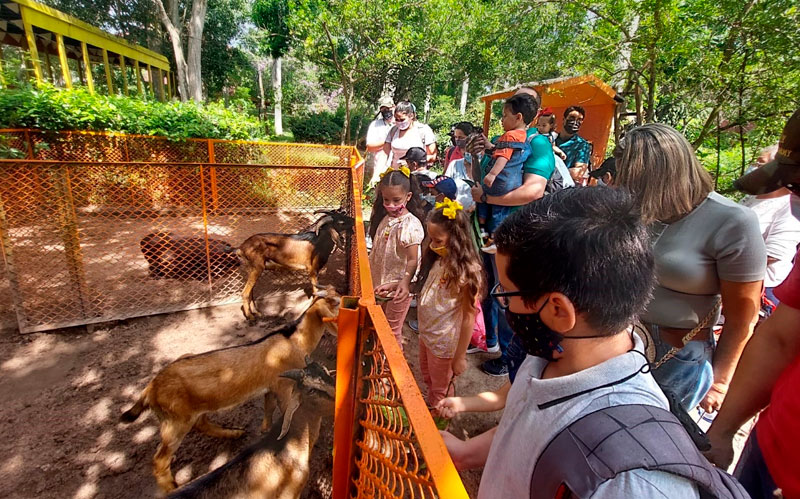 Fotografía niños disfrutando paseo Ecológico