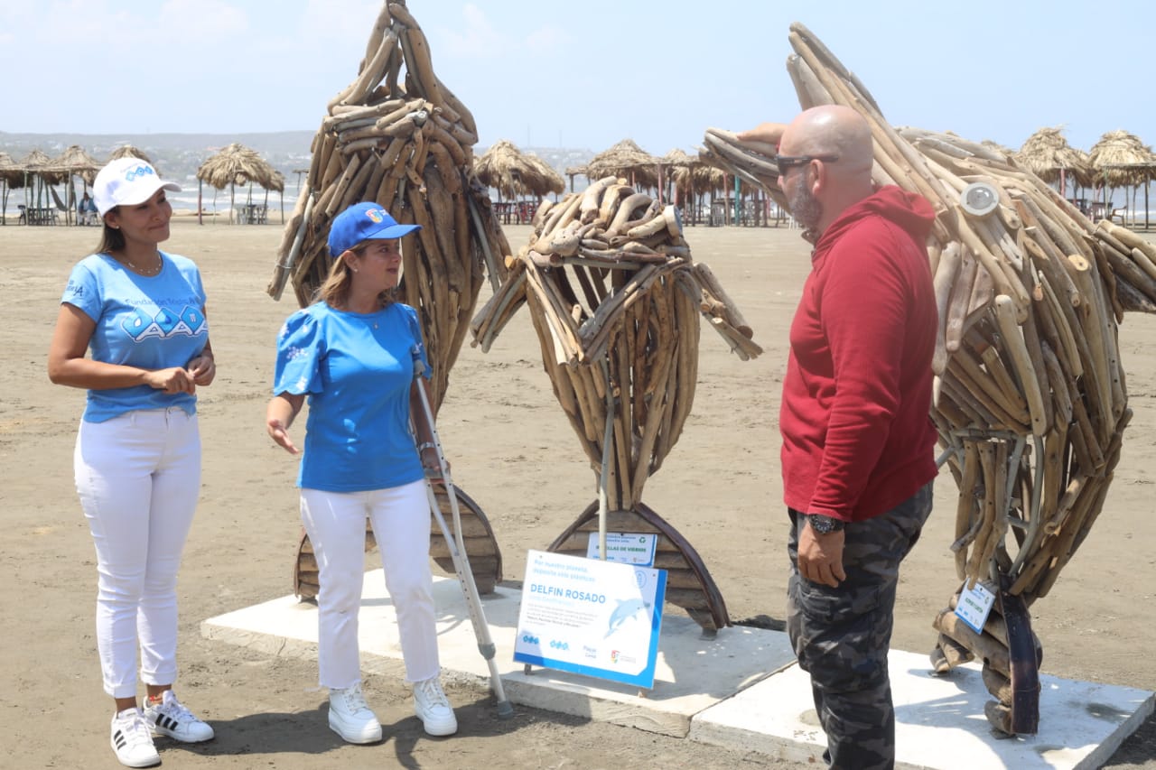 Atlantico Canecas en madera naufraga playas Sabanilla y Country