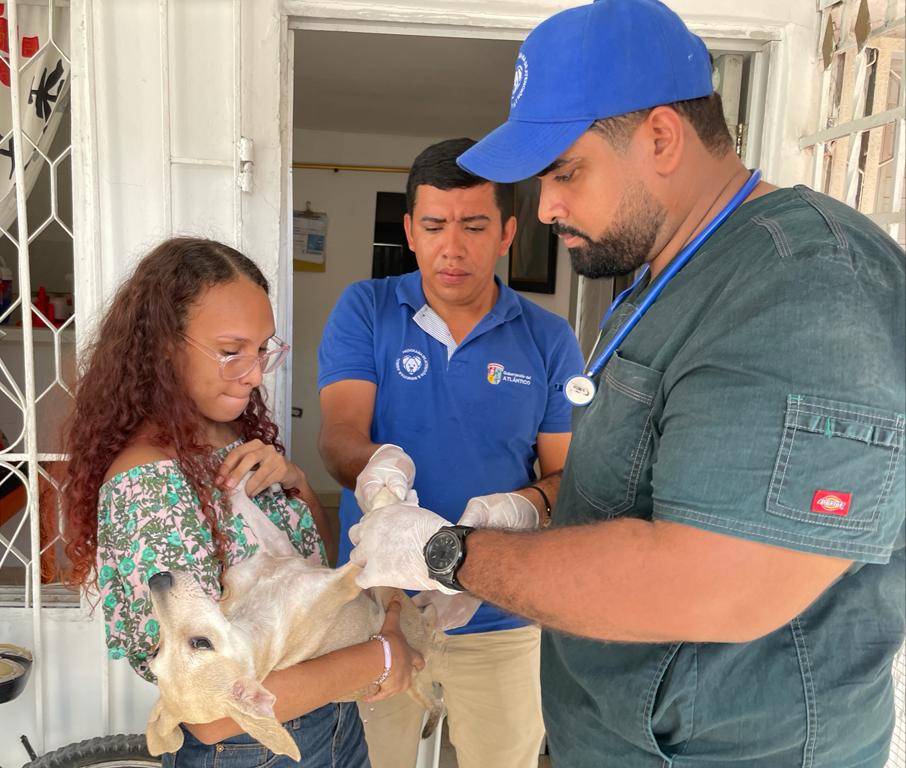 La línea 3175112518 está habilitada para la atención de urgencias de perros y gatos en condición de calle y de propietarios que residan en estratos 1, 2 y 3. Atlantico Gatencion de urgencias medicas veterinarias