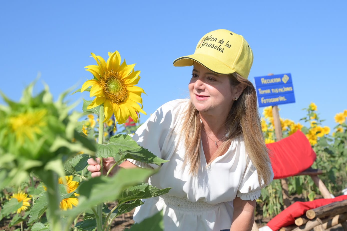 Atlantico La Ruta del Girasol vuelve a Baranoa