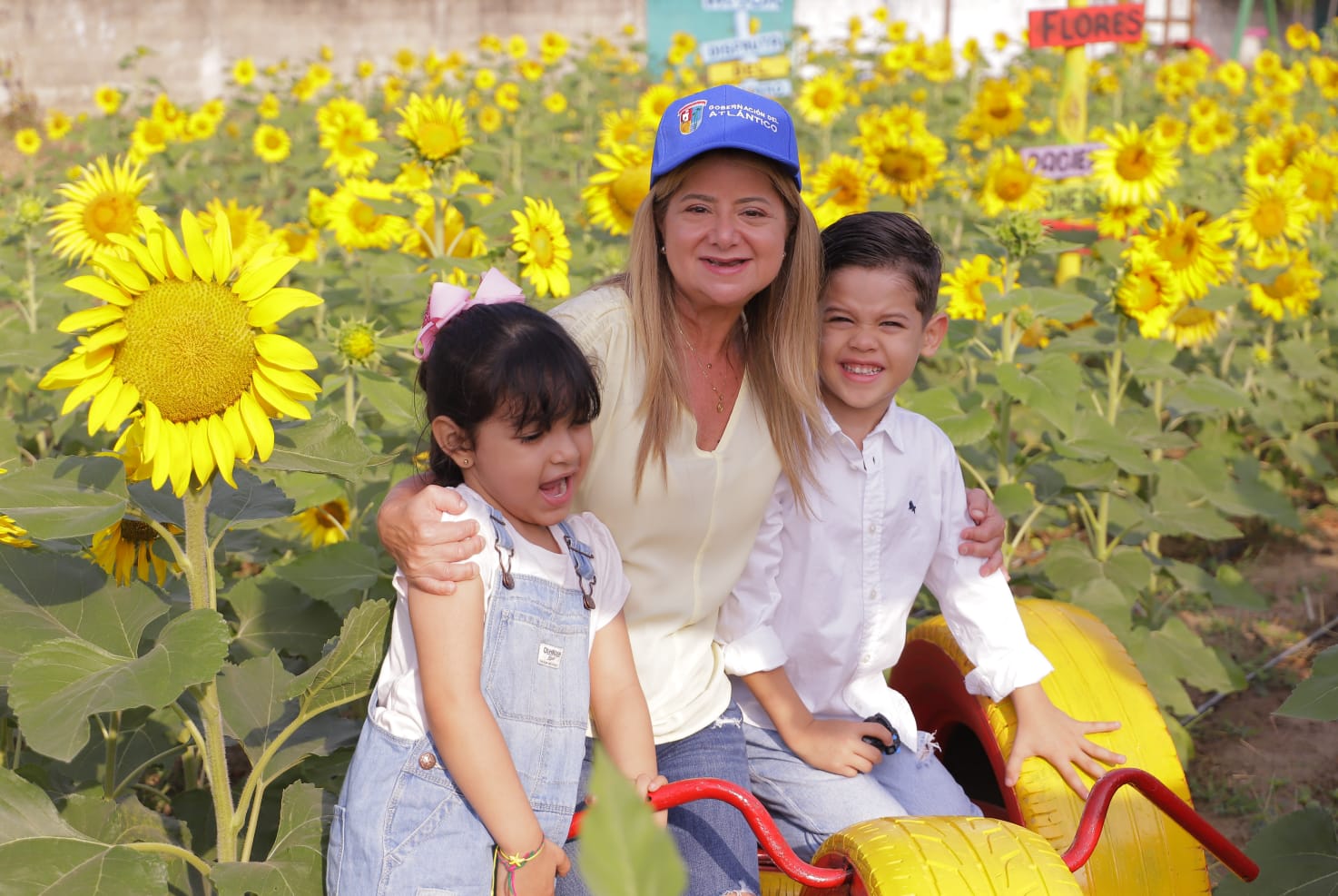 Atlantico mar de girasoles Ruta del Girasol