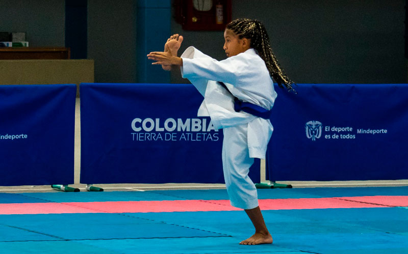 Indeportes presenta el Torneo Virtual Departamental de Karate Do
