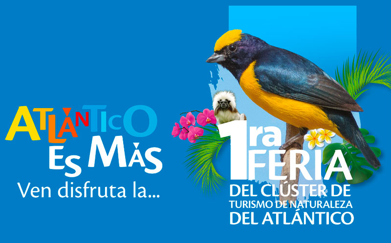 Imagen grafica de campaña de la feria