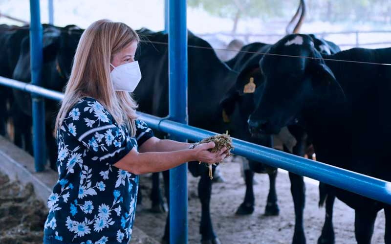 Gobernación del Atlántico entregó 2.325 toneladas de alimento y forraje a 1.937 campesinos