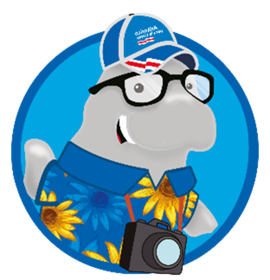 tico bubble