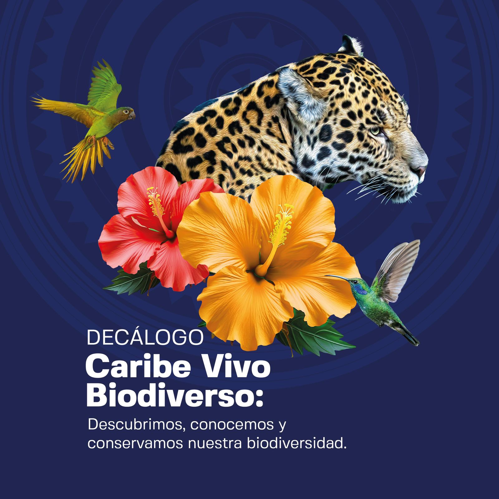 RAP Caribe promueve histórica firma de decálogo por la Biodiversidad de la región